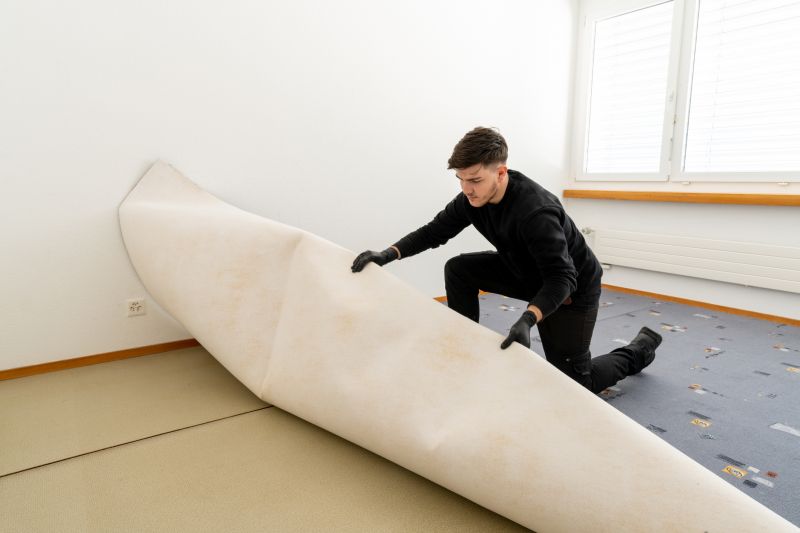 Carpet Repair