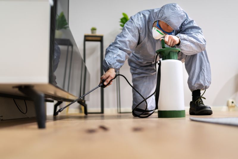Pest Damage Repair
