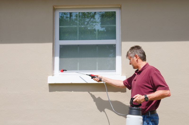 Pest Damage Repair