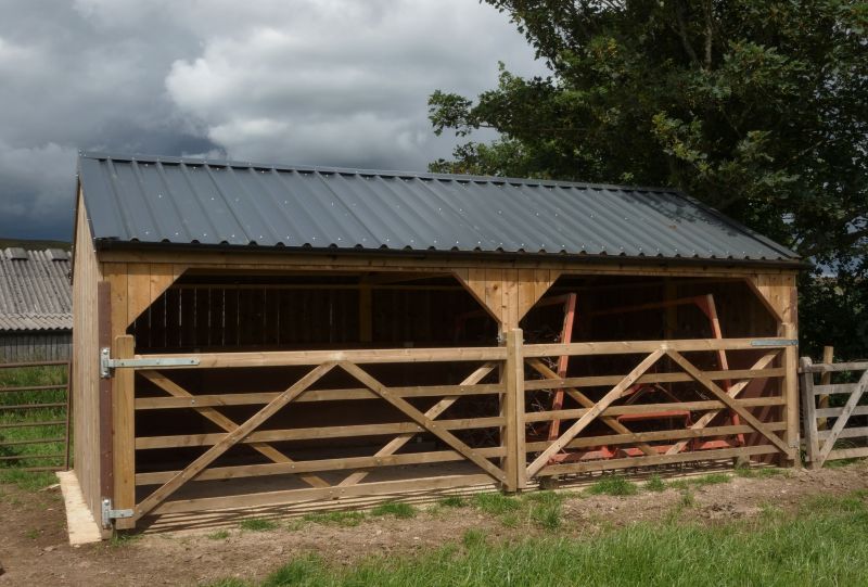 Shed Building