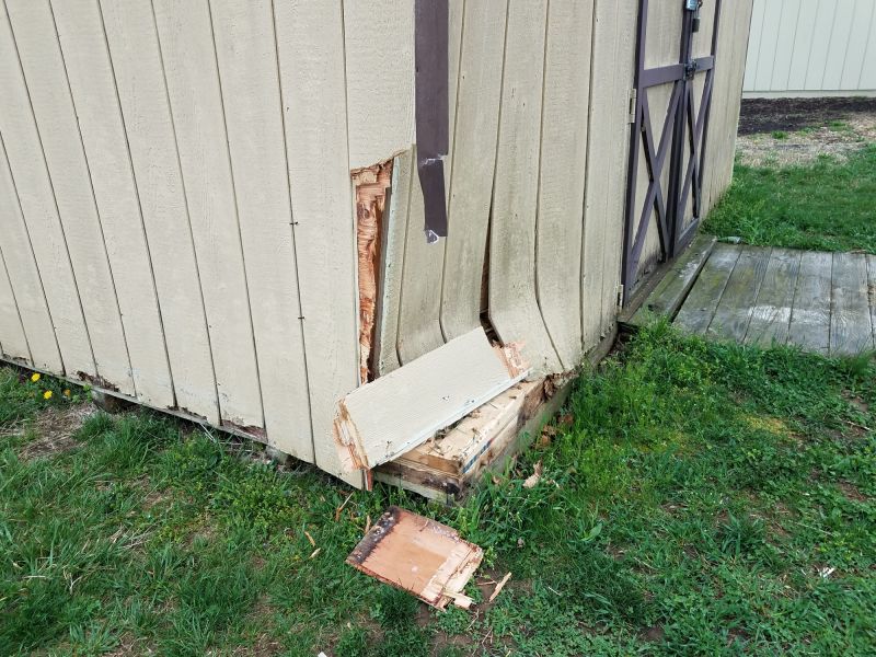 Shed Repair
